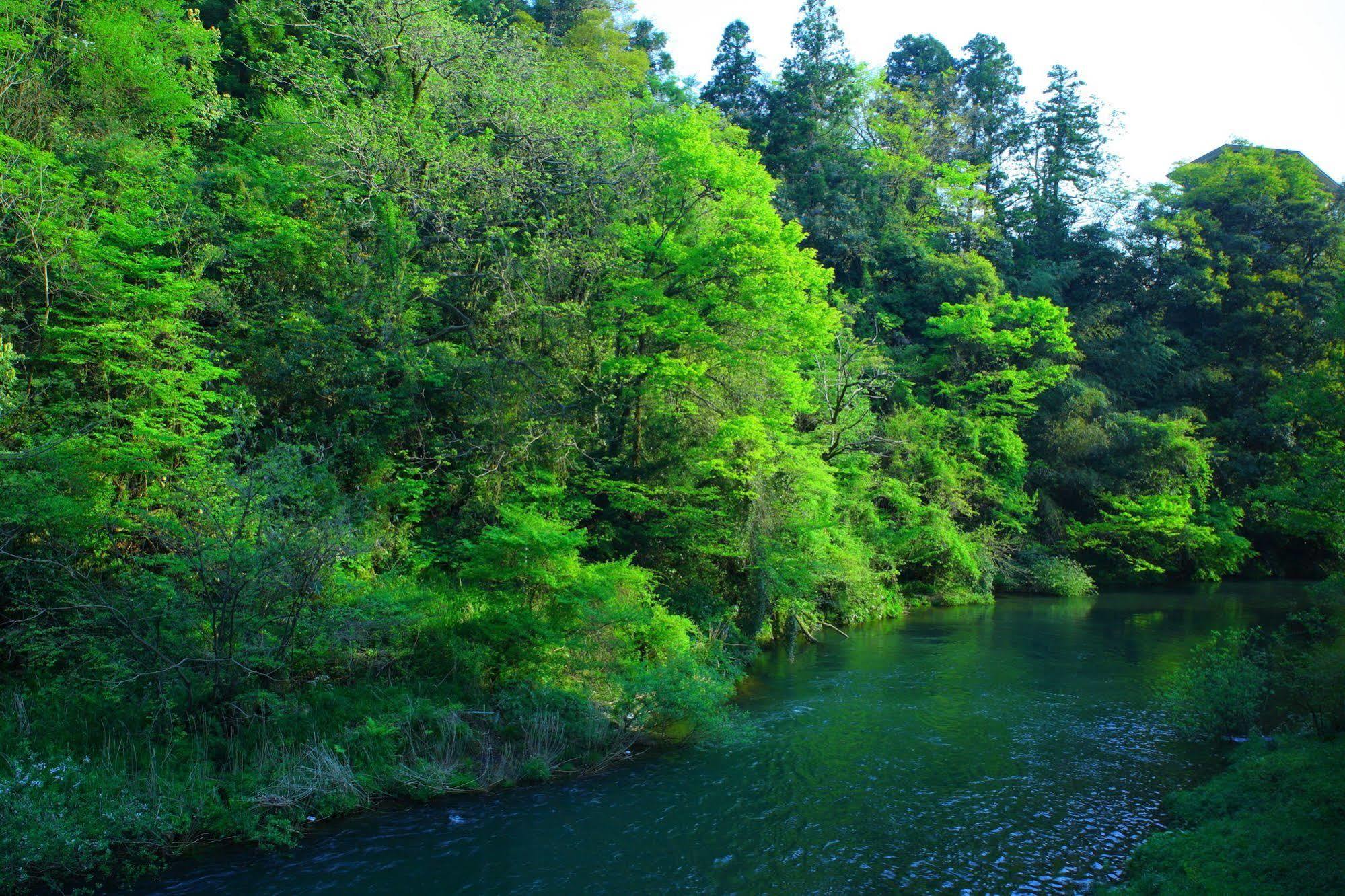 Yamanakaonsen Ohanami Kyubei Kaga  Buitenkant foto